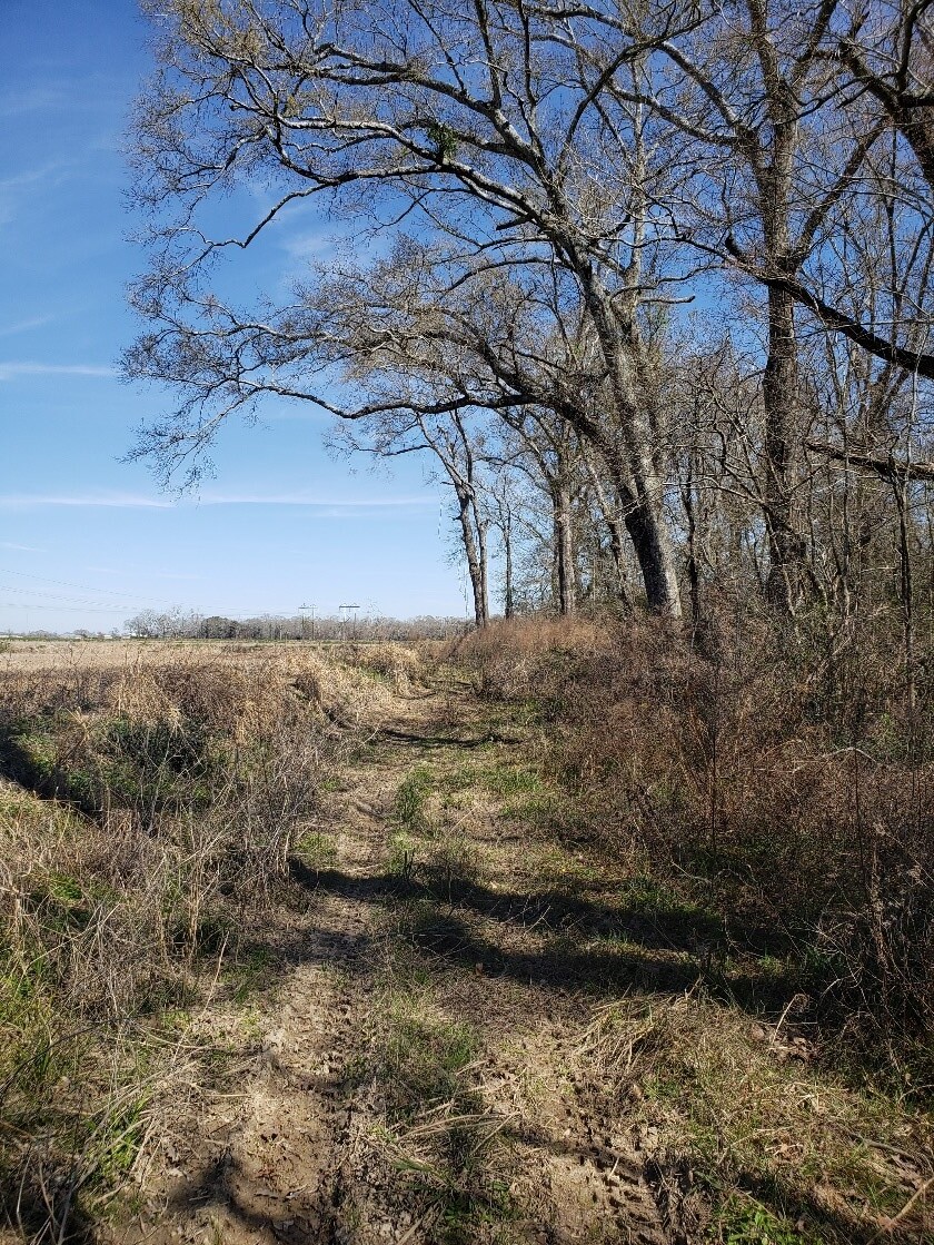 Path to the Hookman