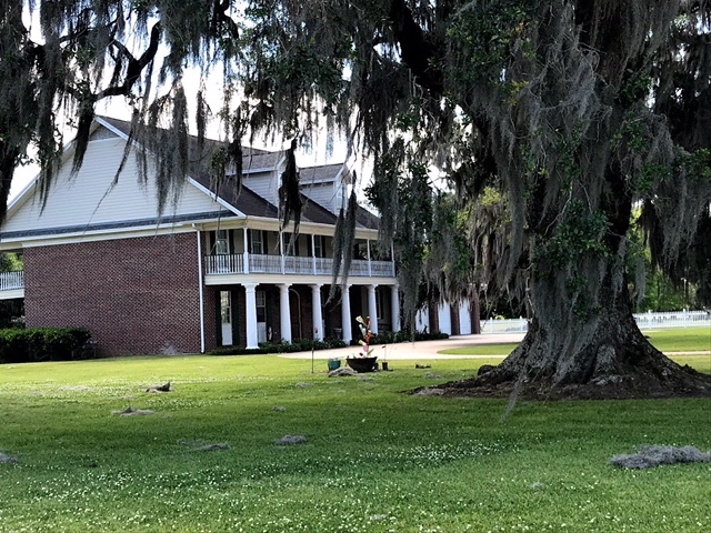 The Resurrection of Darby Plantation