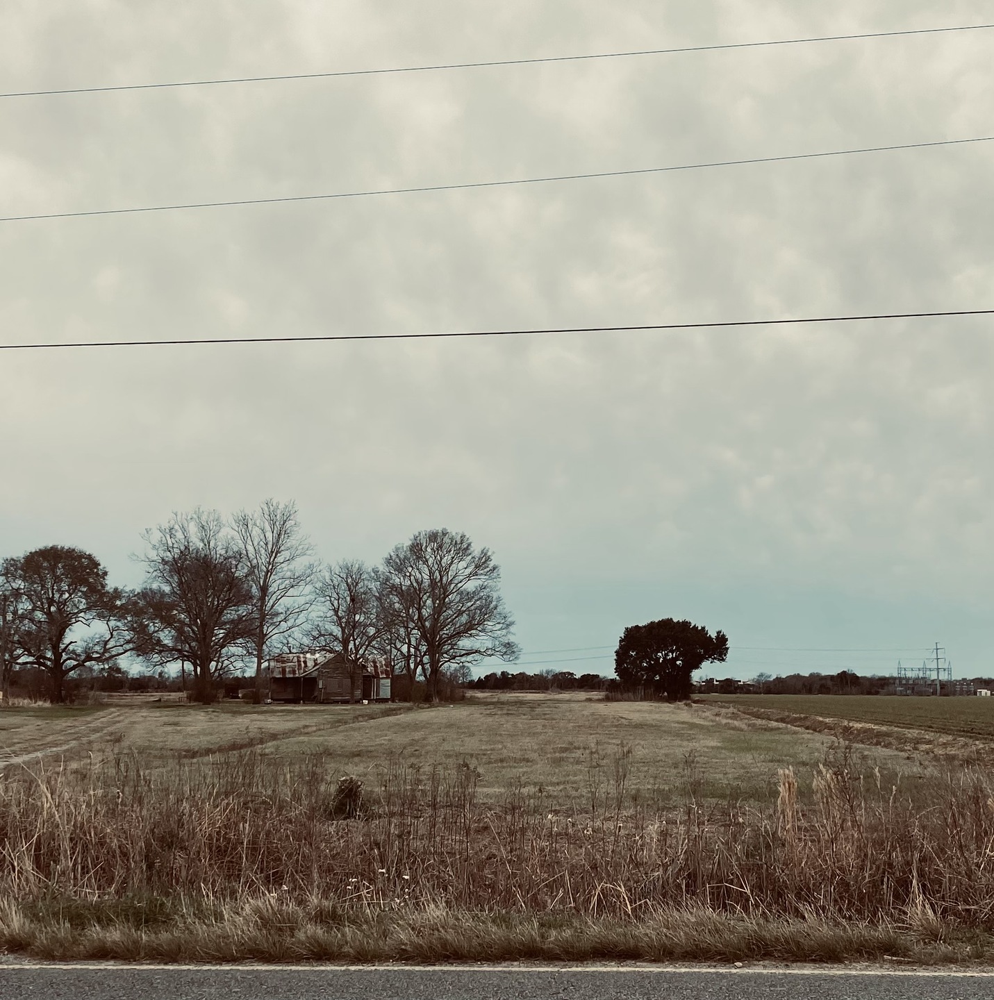 A Street with a View