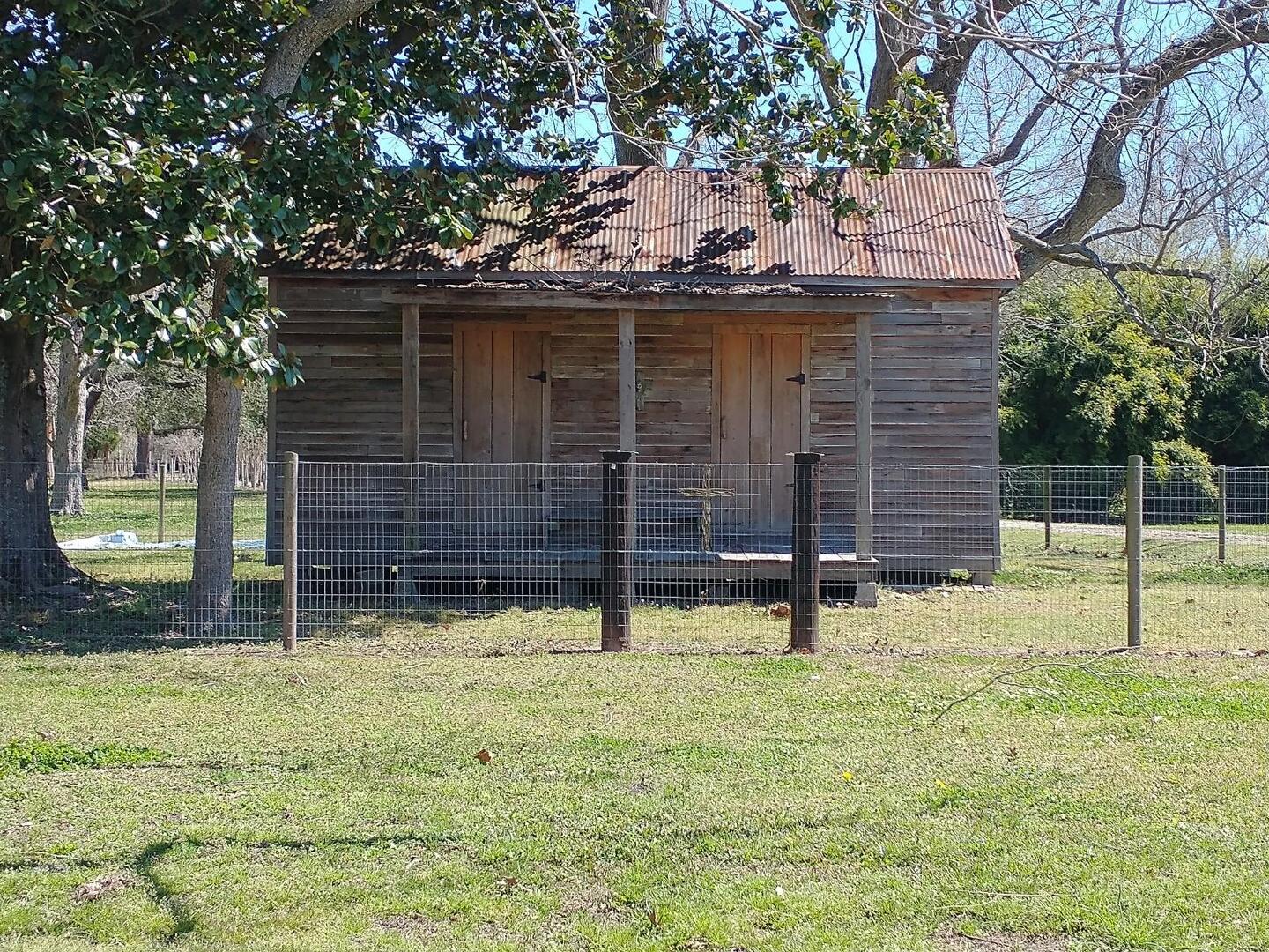 Pelafigue's House (March 2022)
