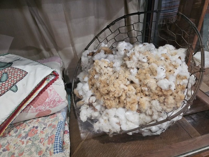 Cotton