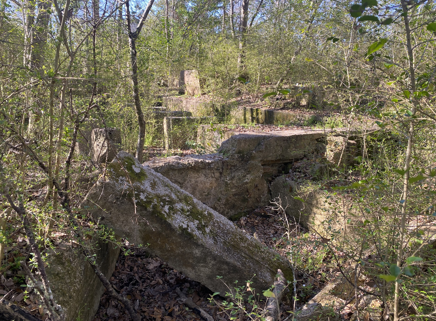 Old Sugarcane Mill