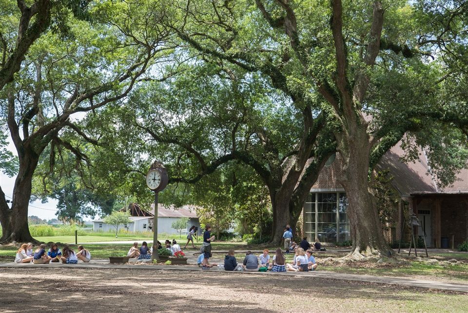 School Kids Under the Oaks