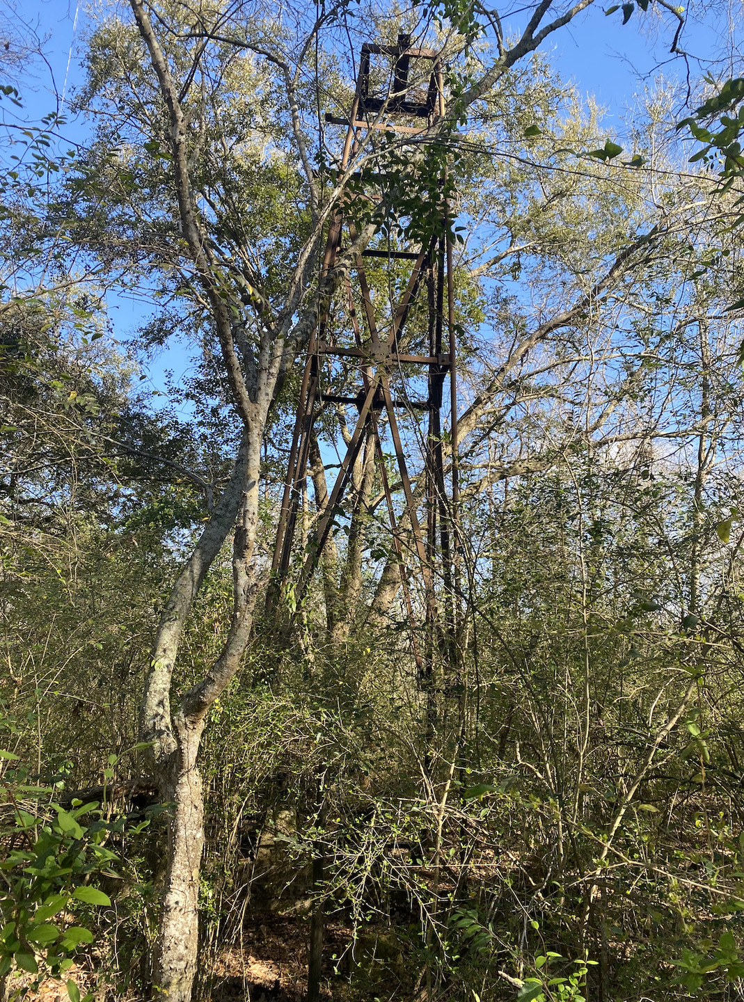 Old Sugarcane Mill