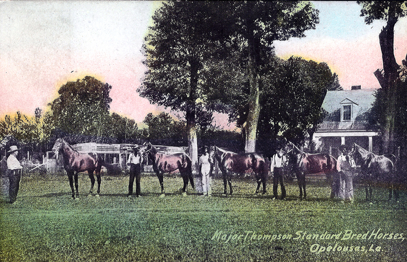 1909 photograph of the J. J. Thompson Thoroughbred Horse Training Farm in Opelousas