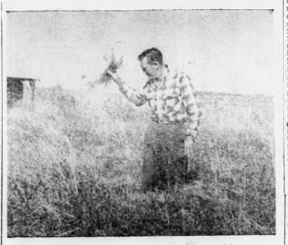 KROF: Rice, Oil, Fur