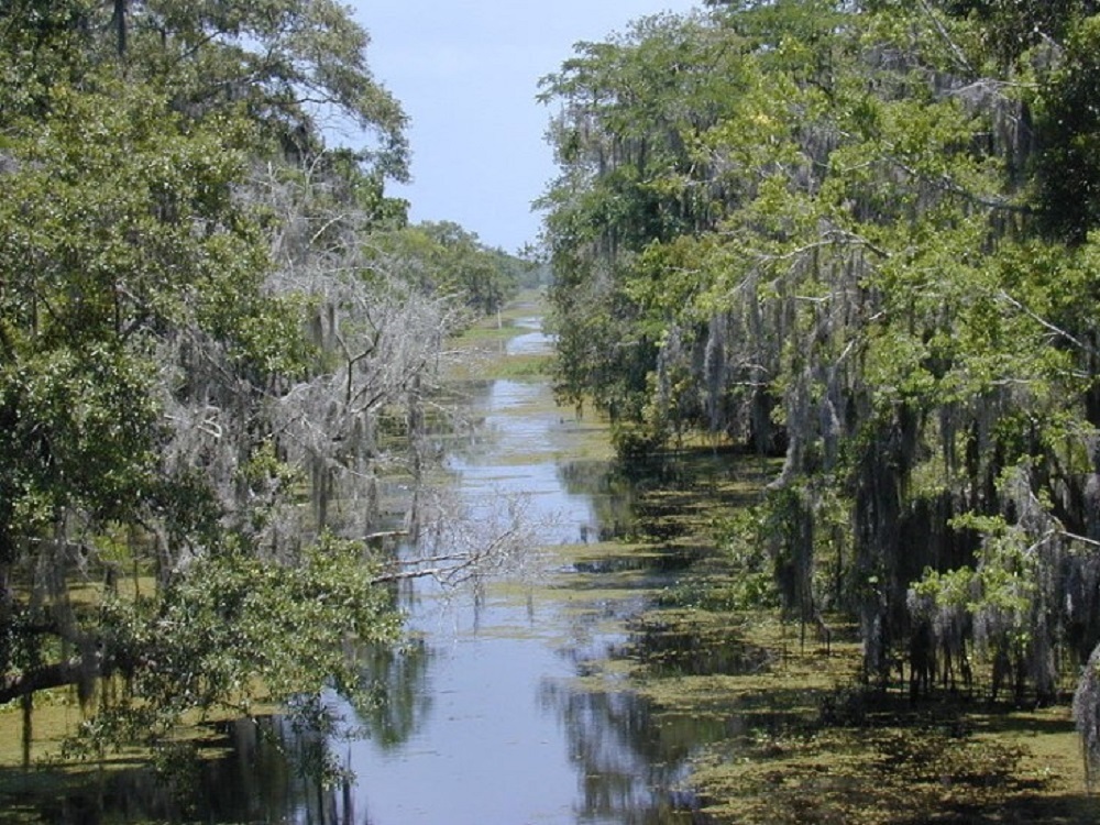 The Kenta Canal in the Barataria Preserve.
