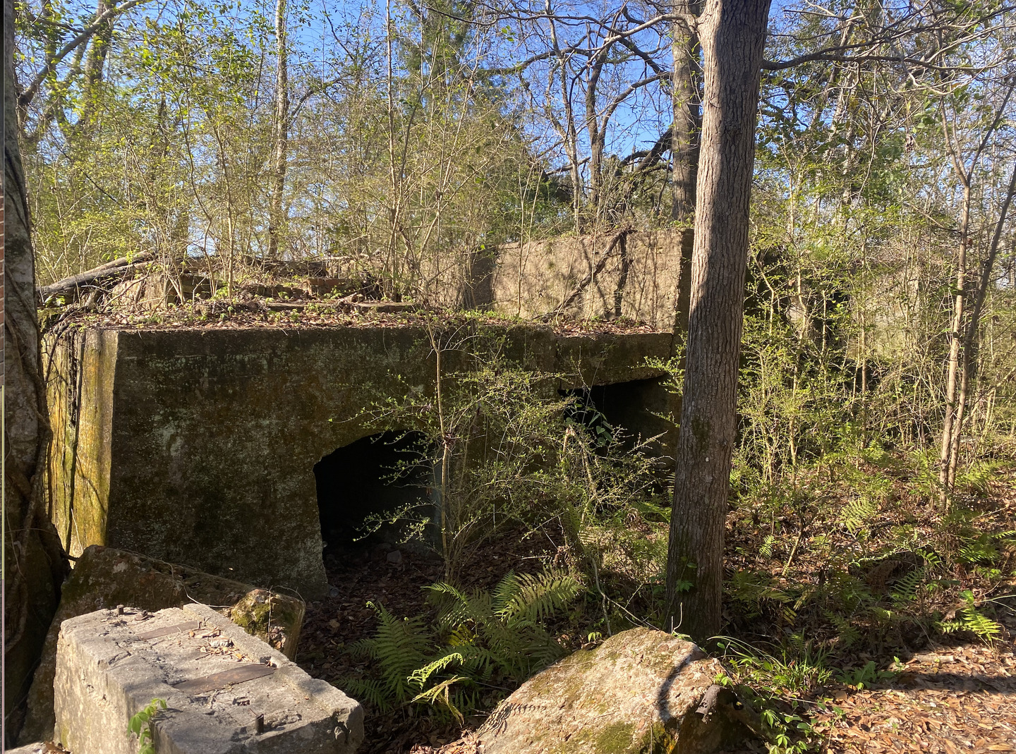Old Sugarcane Mill