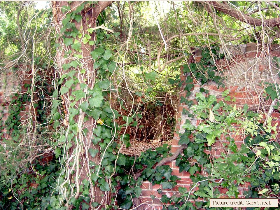 Part of the Old Sugar Mill