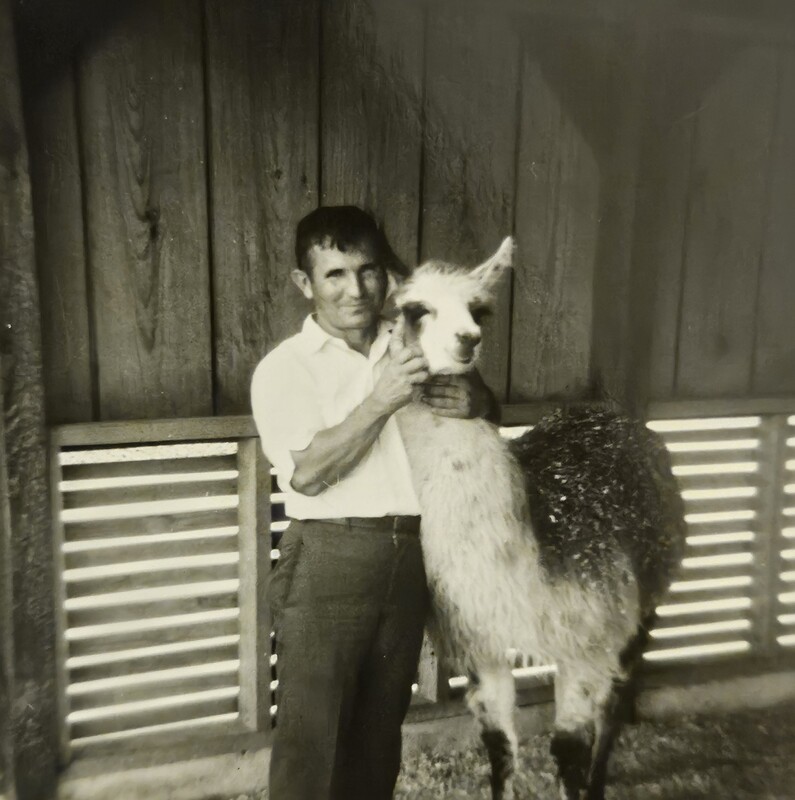 John Long with Alpaca/Llama