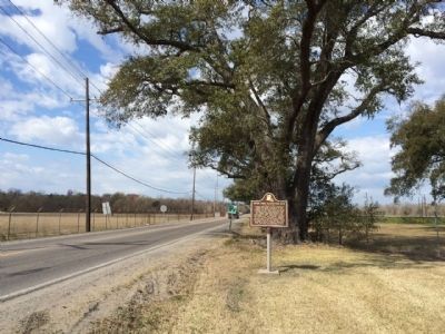 A View of Seven Oaks Boulevard