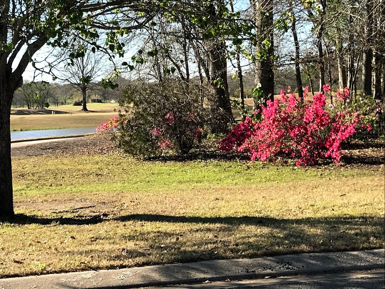 Golf Course Grounds.jpg