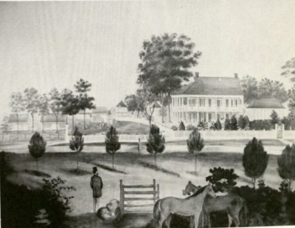 The artist Adrien Persac painted Darby Plantation in 1861.