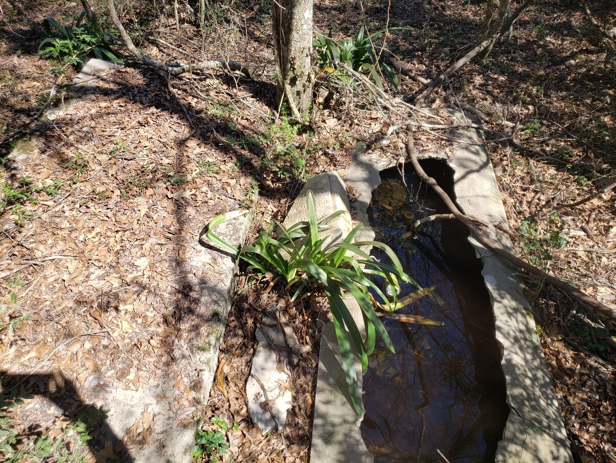 Broken and Abandoned
