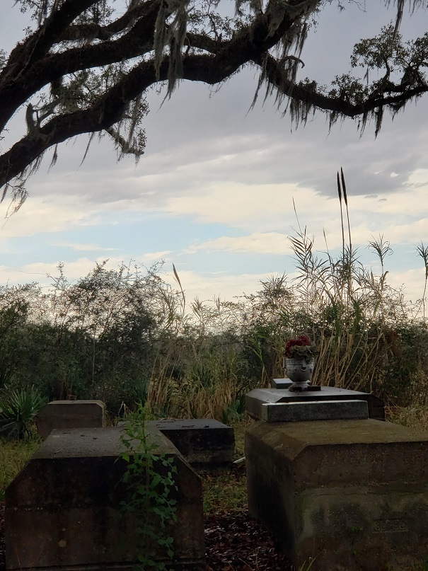 Surrounded by Sugarcane Fields