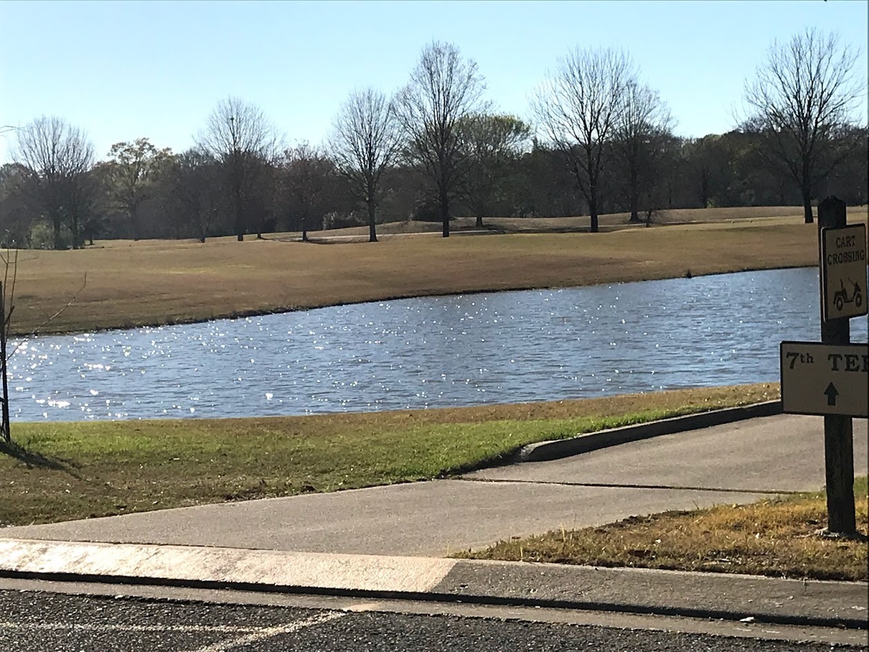 Golf Course Pond.jpg
